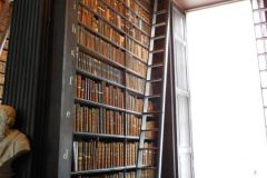 13765785_10209617174087152_1957665665335324363_o